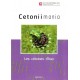 Cetoniimania, 2023: No. 18, Les Cétoines d´Iran, Cetoniinae, Valginae, Trichiinae et Euchiridae