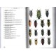 Chatenet G., 2017: Phytophagous Beetles of Europe, Vol.1 (Buprestidae, Elateridae, Cleridae, Cerambycidae)