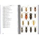 Chatenet G., 2017: Phytophagous Beetles of Europe, Vol.1 (Buprestidae, Elateridae, Cleridae, Cerambycidae)