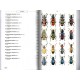 Chatenet G., 2017: Phytophagous Beetles of Europe, Vol.1 (Buprestidae, Elateridae, Cleridae, Cerambycidae)