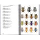 Chatenet G., 2017: Phytophagous Beetles of Europe, Vol.1 (Buprestidae, Elateridae, Cleridae, Cerambycidae)