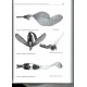 Ronkay L., Ronkay G., Landry B., 2023: La collection Jacques Plante de Noctuidae, Part II