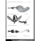 Ronkay L., Ronkay G., Landry B., 2023: La collection Jacques Plante de Noctuidae, Part II