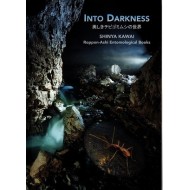 Kawai S., 2024: Into darkness