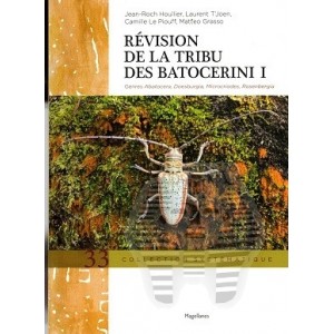 https://www.entosphinx.cz/1737-6265-thickbox/revision-de-la-tibu-des-batocerini-i-genres-abatocera-doesburgia-microcriodes-rosenbergia.jpg