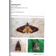 Parsons M., Clancy S., 2023: Pyralid and Crambid Moths of Britain and Ireland