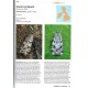 Parsons M., Clancy S., 2023: Pyralid and Crambid Moths of Britain and Ireland