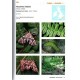 Parsons M., Clancy S., 2023: Pyralid and Crambid Moths of Britain and Ireland