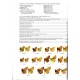 Chiba H., Tsukiyama H., Bozano GC, 2025: Guide to the Butterflies of the Palearctic region, Hesperidae part II