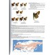 Chiba H., Tsukiyama H., Bozano GC, 2025: Guide to the Butterflies of the Palearctic region, Hesperidae part II