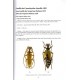 Jiroux E., 2025: Faune des Coléoptéres de Corse / Cerambycidae, Vol. 8