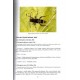 Jiroux E., 2025: Faune des Coléoptéres de Corse / Cerambycidae, Vol. 8