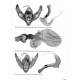 Ronkay G., Ronkay L., Varga Z., 2024: Fibigeriana, Vol.4, Macrolepidoptera on Hungary