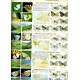 Tschikolovets: Butterflies of the Western Palaearctic, vol 1
