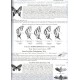 Tschikolovets: Butterflies of the Western Palaearctic, vol 1