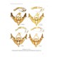 Quinter L., E-McBride A., 2025: The Moths of North America , excluding Mexico, Noctuidea (Part), Noctuinae: Apameini (Part)