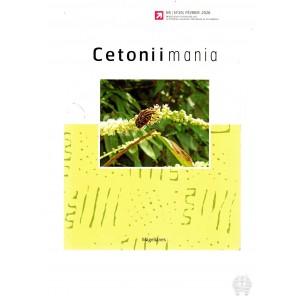 https://www.entosphinx.cz/1773-6493-thickbox/magellanes-2026-cetoniimania-n-20.jpg