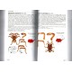 Teyssié F., 2026: Tarantulas of the World, Vol. 2