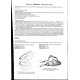 Bonometti A., Tadokoro T., Shapoval N., Ge SX : 2026: Pieridae part V, Subfamiliy Pierinae (partim), Tribe Pierini (partim)
