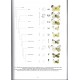 Bonometti A., Tadokoro T., Shapoval N., Ge SX : 2026: Pieridae part V, Subfamiliy Pierinae (partim), Tribe Pierini (partim)