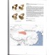 Bonometti A., Tadokoro T., Shapoval N., Ge SX : 2026: Pieridae part V, Subfamiliy Pierinae (partim), Tribe Pierini (partim)