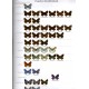 Tshikolovets V., 2026: Butterflies of the Western Palaearctic, Vol. II.