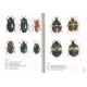 Háva J., 2011: Beetles of hte family Dermestidae of the Czech and Slovak republics