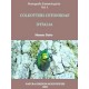 Dutto M., 2005: Coleotteri Cetoniidae d’Italia. Monografie Entomologiche, vol. 1