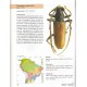 Galileo M: H: M:, Martins U. R., Moysés E., 2011:Cerambycidae sul-americanos ( Coleoptera ), Suplemento 3, 101 pp.