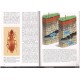 Giachino P., Vailati D., 2010: The Subterranean Environment