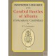 Gueorguiev, B.V.2007: Annotated Catalogue of the Carabid Beetles of Albania (Coleoptera: Carabidae),