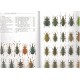 Hůrka K., 2005: Beetles of the Czech and Slovak Republics