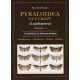  	 Slamka F., 2008: Pyraloidea of Europe (Lepidoptera), Vol. 2. 223 pp