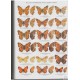 Tshikolovets V. V., 2004: The Butterflies of Tajikistan. 77 colour plates, 500 pp.