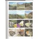  	 Tshikolovets V. V., 2005: Butterflies of Kyrgyzstan. 108 colour plates, 511 pp.