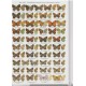  	 Tshikolovets V. V., 2005: The Butterflies of Ladak (N.-W. India). 30 colour plates, 176 pp.