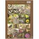  	 Tshikolovets V. V., 2005: The Butterflies of Ladak (N.-W. India). 30 colour plates, 176 pp.