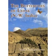  	 Tshikolovets V. V., 2005: The Butterflies of Ladak (N.-W. India). 30 colour plates, 176 pp.