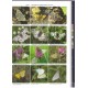 Tshikolovets V. V., 2009: Butterflies of Altai, Sayans and Tuva, 374 pp., 48 c. p. ( 2500 photographs).