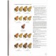 Tuzov V. K., Bozano G. C., 2006: Guide to the Butterflies of the Palearctic Region: Nymphalidae, part 2