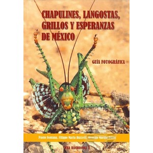 https://www.entosphinx.cz/681-522-thickbox/-fontana-p-buzzetti-f-m-marino-perez-m-2008-chapulines-langostas-grillos-y-esperanzas-orthoptera-.jpg