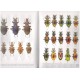 Camard A., Leplat J., 2004: Hybrides du genre Carabus