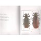 Marazzi G., Marazzi V., Komiya Z., 2006: New Xixuthrina from Indo - Australian Region (Coleoptera Cerambycidae Prioninae)
