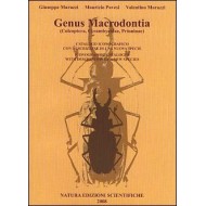 Marazzi G, Pavesi M, Marazzi V.  Genus Macrodontia 