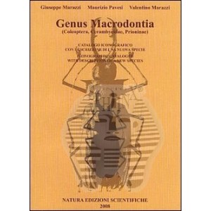 https://www.entosphinx.cz/718-487-thickbox/marazzi-g-pavesi-m-marazzi-v-genus-macrodontia-.jpg