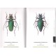 Jeniš I., 2010: The Prionids of the Neotropical region, illustrated catalogue of the Beetles, Volume 2