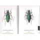 Jeniš Ivo, 2010: The Prinids of the Neotropical region, illustrated catalogue of the beetles, vol. II., 152 p.p.