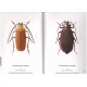 Jeniš I., 2008: The Prionids of the World I. Illustrated catalogue of the beetles. 128 pp.