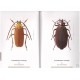 Jeniš I., 2008: The Prionids of the World. Illustrated catalogue of the Beetles, Volume 1