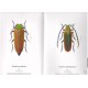 Jeniš I., 2008: The Prionids of the World I. Illustrated catalogue of the beetles. 128 pp.